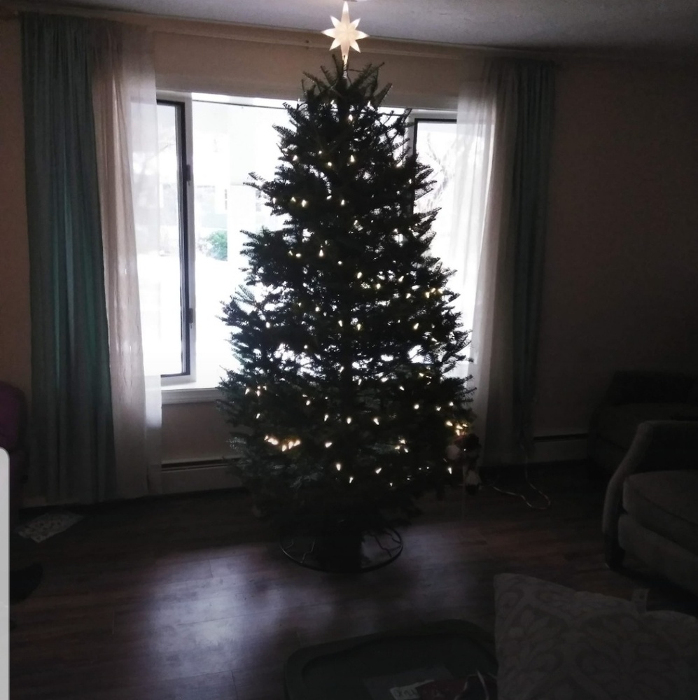 Meet your Posher, Dan